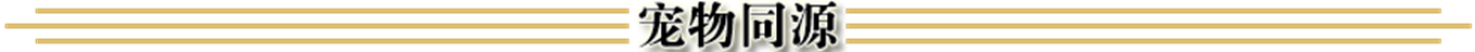1.6浮生录特色问道端游仿官服玩法攻略